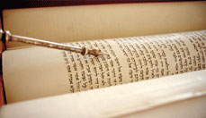 bible prophecy